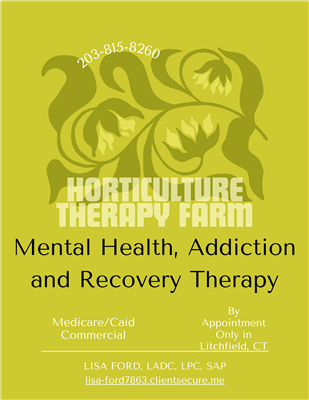 Lisa R. Ford, LADC, LPC, SAP