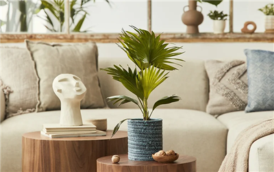 East Mental Health Counseling Seattle