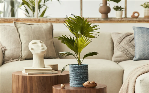 East Mental Health Counseling Seattle